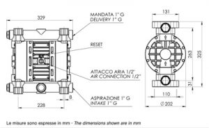 DIMENSIONI